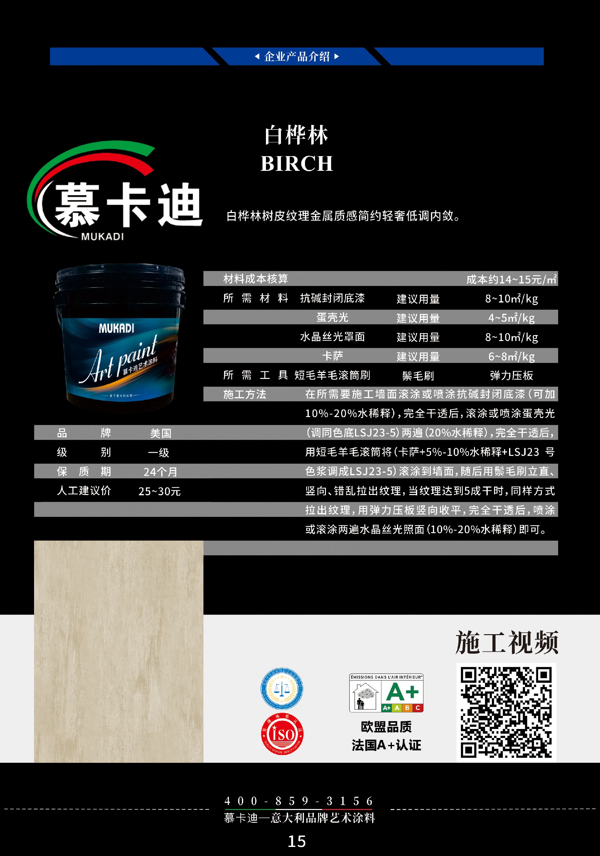 白桦林.jpg