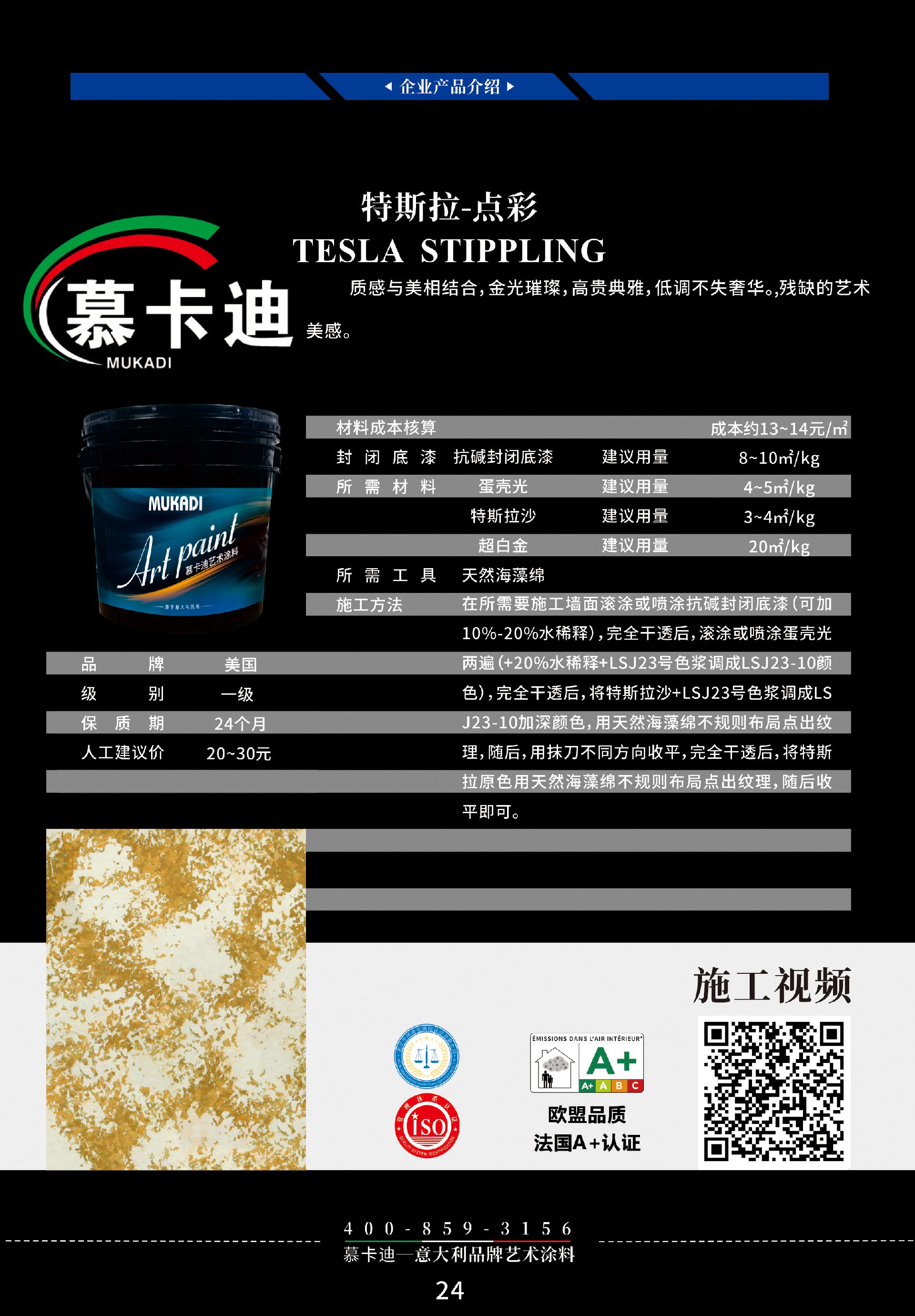特斯拉点彩.jpg
